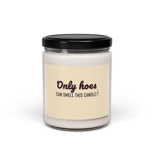 Candle — "Only Hoes Can Smell This Candle" Scented Soy Jar (9oz)