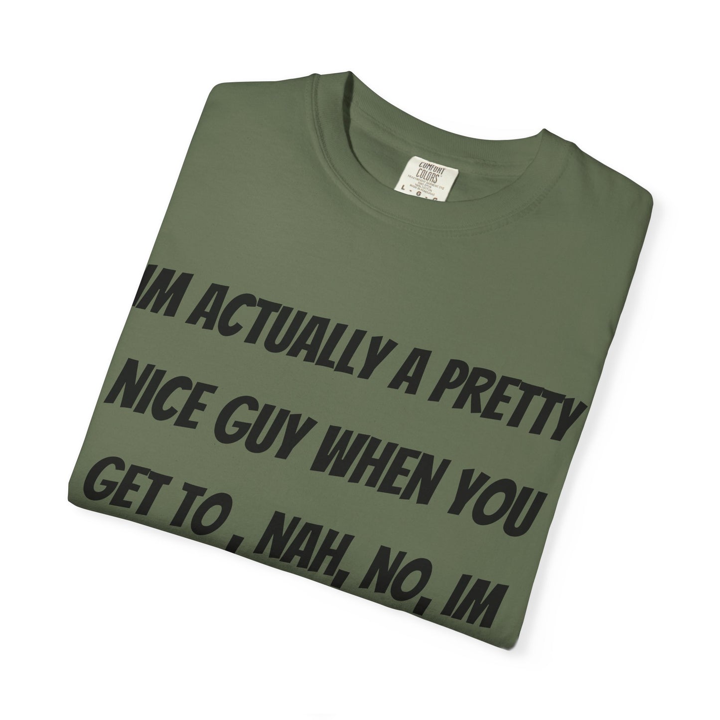 Graphic T-Shirt — "I'm Actually a Pretty Nice Guy... Just Kidding, Go F*** Yourself" Funny Sarcastic Tee