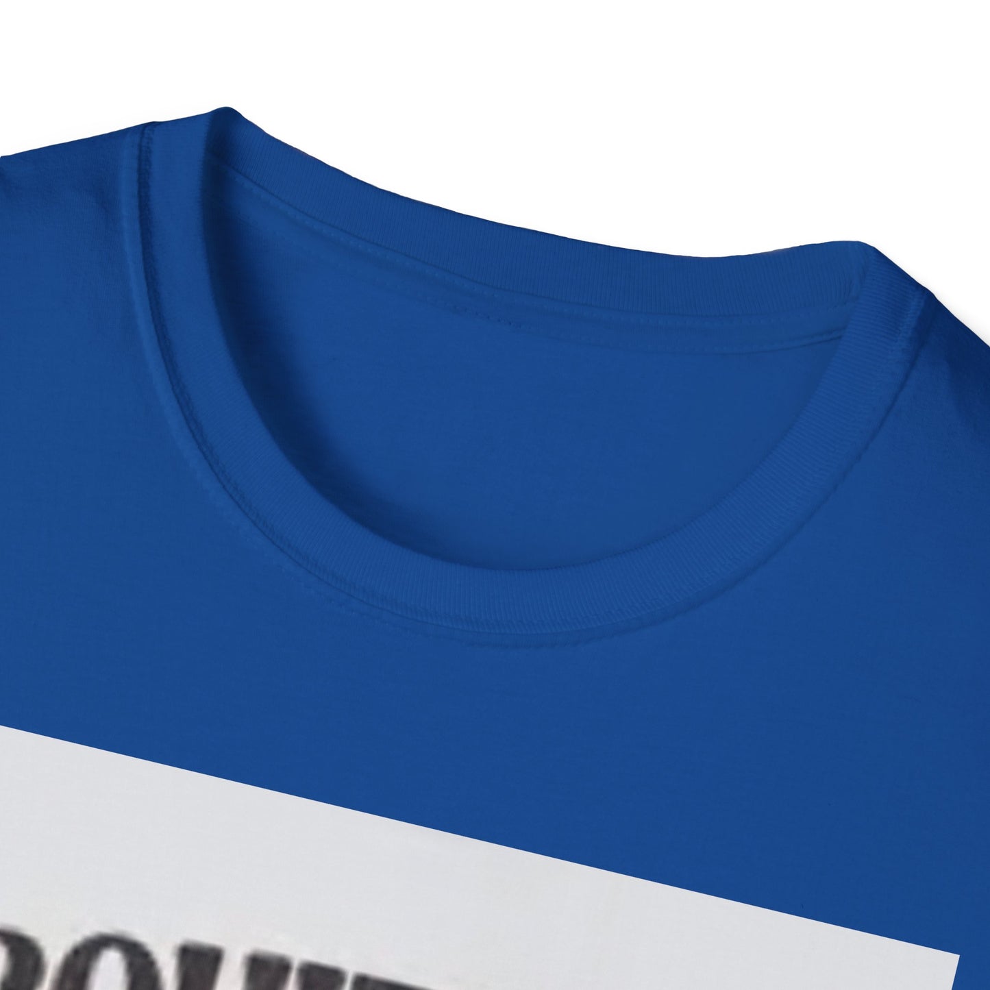 Funny Foodie Unisex T-Shirt - I Squirt on Juicy Wieners, Humor Tee, BBQ Gift, Food Lover Shirt, Summer Essentials