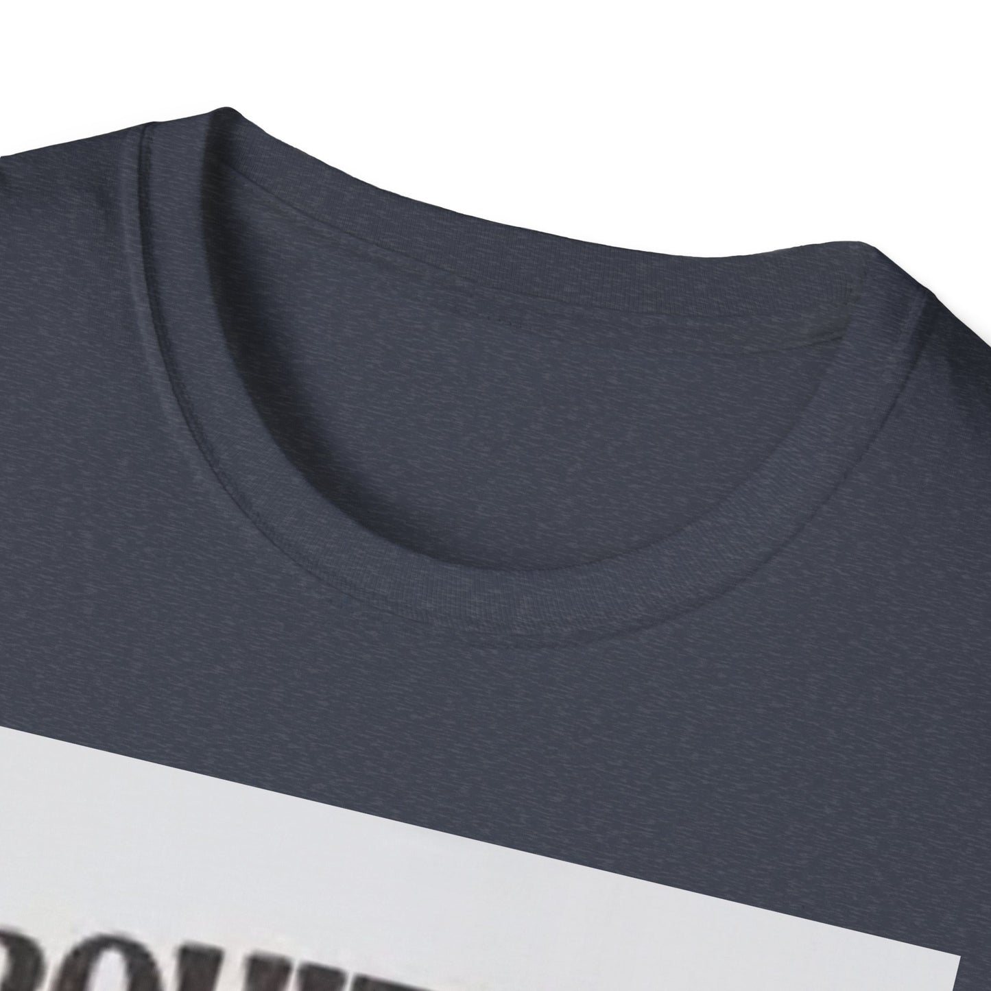 Funny Foodie Unisex T-Shirt - I Squirt on Juicy Wieners, Humor Tee, BBQ Gift, Food Lover Shirt, Summer Essentials