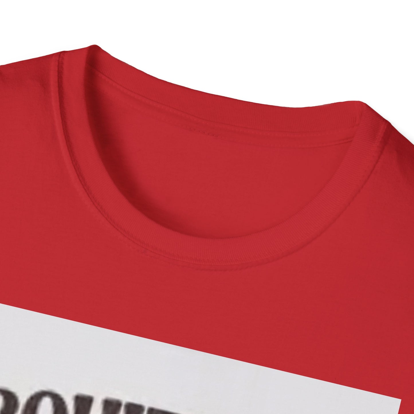 Funny Foodie Unisex T-Shirt - I Squirt on Juicy Wieners, Humor Tee, BBQ Gift, Food Lover Shirt, Summer Essentials