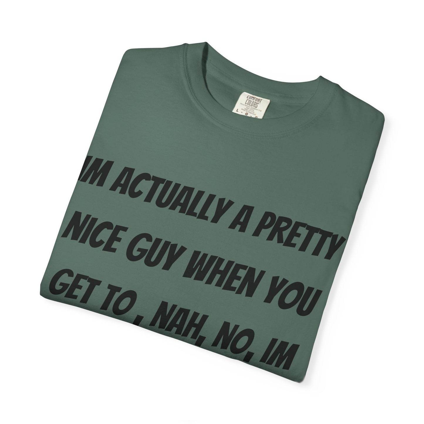 Graphic T-Shirt — "I'm Actually a Pretty Nice Guy... Just Kidding, Go F*** Yourself" Funny Sarcastic Tee