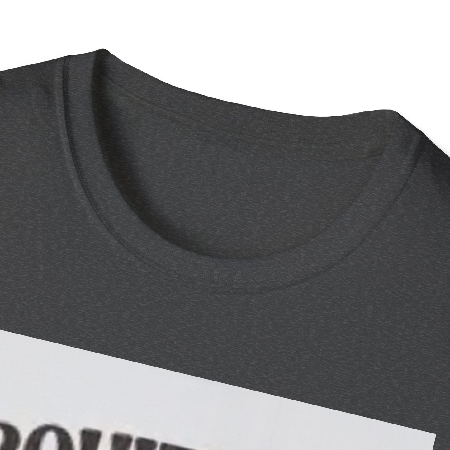 Funny Foodie Unisex T-Shirt - I Squirt on Juicy Wieners, Humor Tee, BBQ Gift, Food Lover Shirt, Summer Essentials