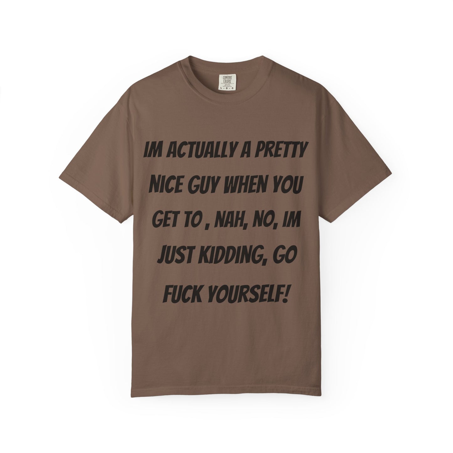 Graphic T-Shirt — "I'm Actually a Pretty Nice Guy... Just Kidding, Go F*** Yourself" Funny Sarcastic Tee