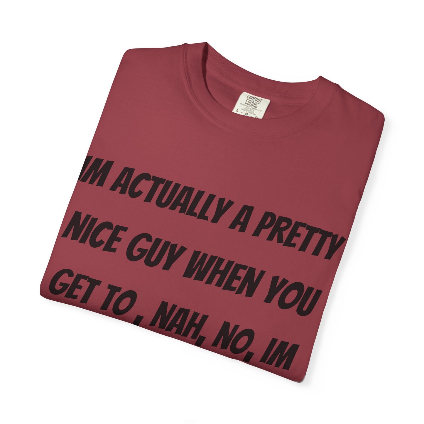 Graphic T-Shirt — "I'm Actually a Pretty Nice Guy... Just Kidding, Go F*** Yourself" Funny Sarcastic Tee