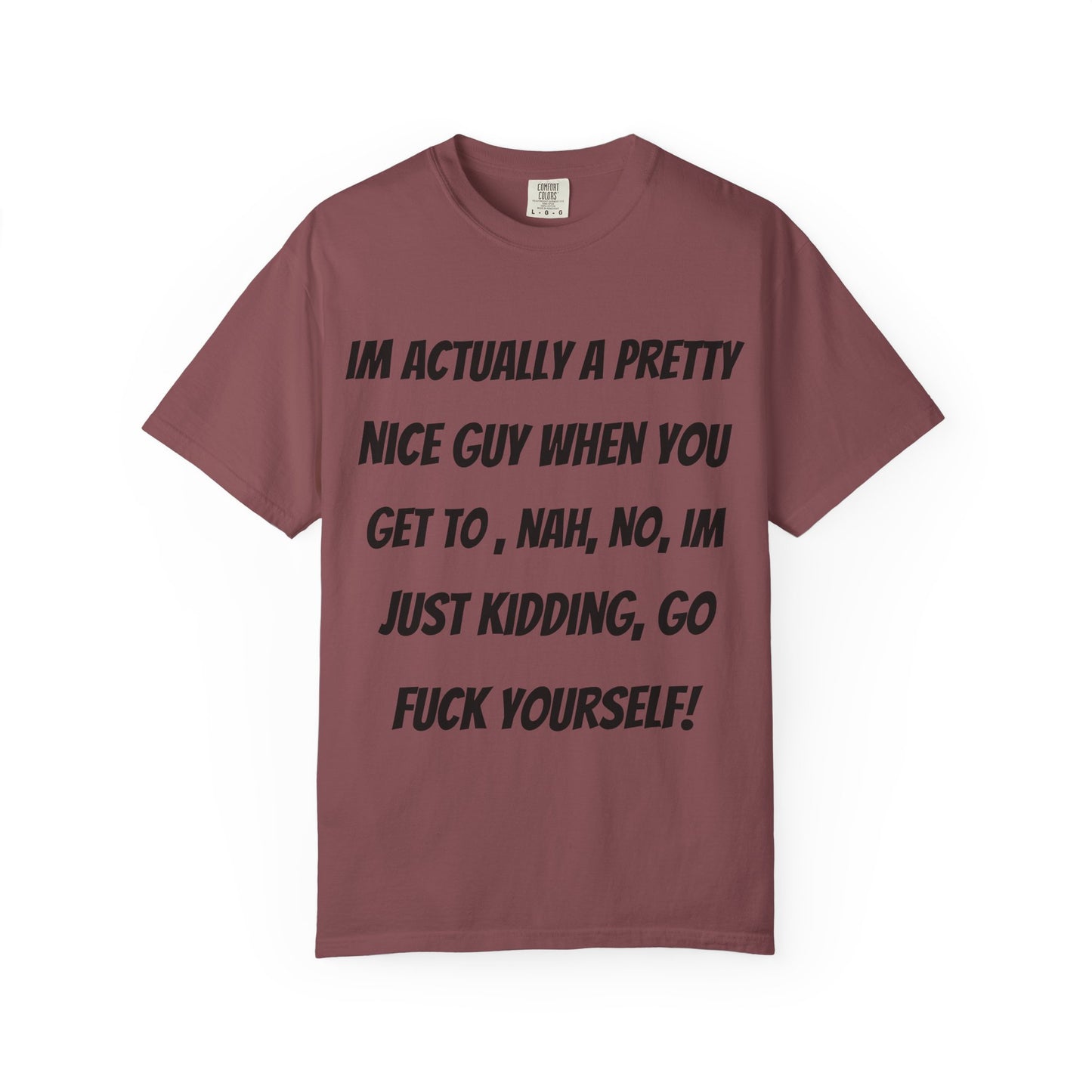 Graphic T-Shirt — "I'm Actually a Pretty Nice Guy... Just Kidding, Go F*** Yourself" Funny Sarcastic Tee