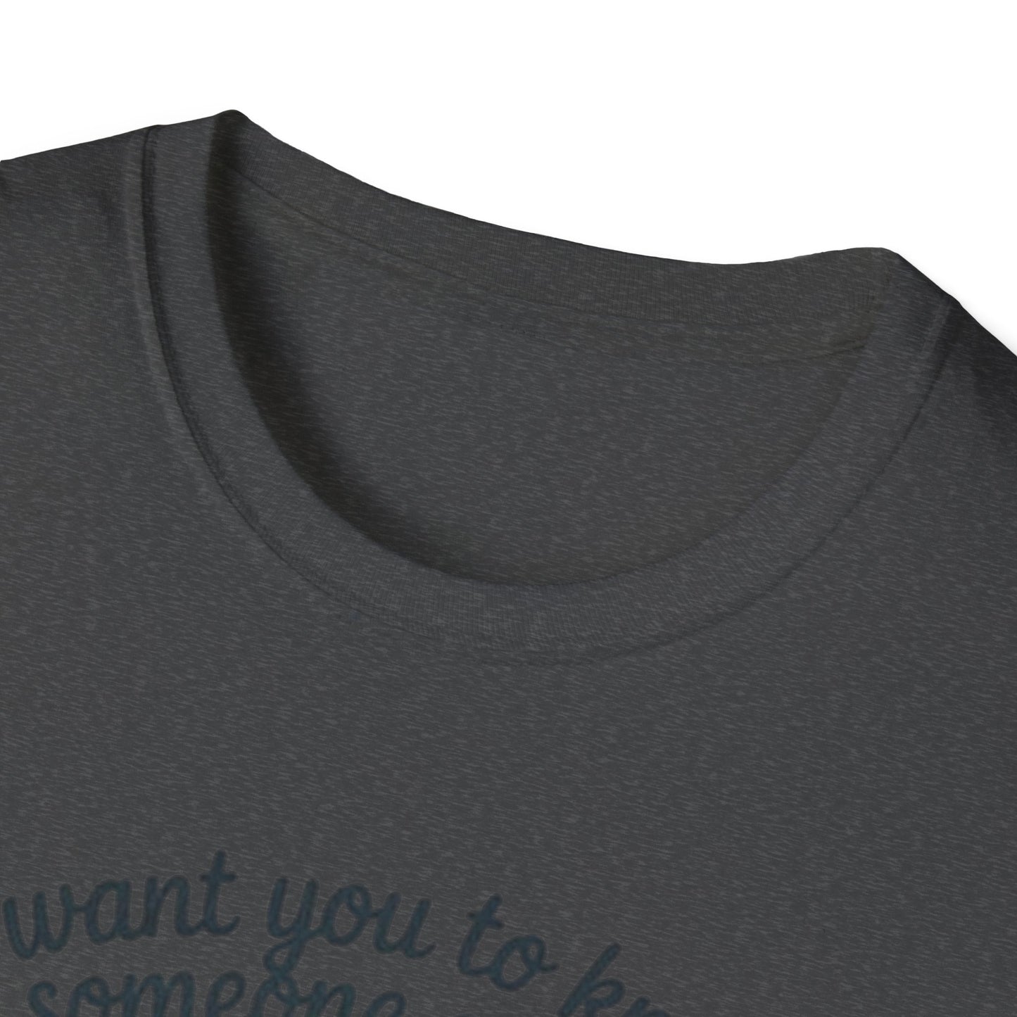 T-Shirt — "I Want You to Know Someone Cares (Not Me But Someone)" Comfort Tee